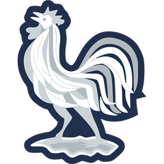 France — Équipe Nationale